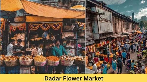 Top 5 Flower Market in Mumbai
