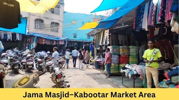 Top 5 Pet Market in Delhi