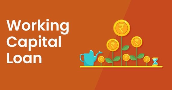 Term Loan and Working Capital Loan: What’s the Difference?